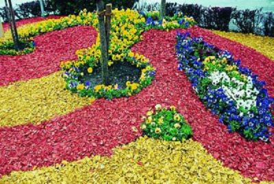 Прикрепленное изображение: dekorativnaj-mulcha.jpg